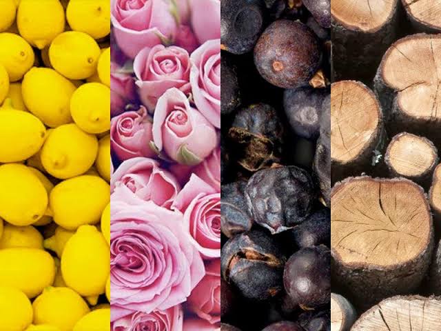 Scents