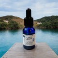 Lake House Essential OIl Blend For Plug In Diffusers